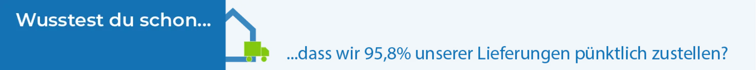 Versand-Banner-puenktliche-Lieferung