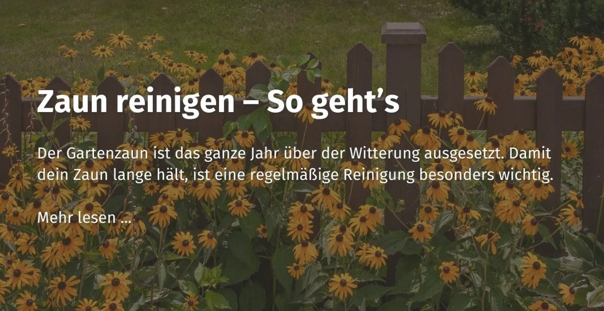 deine-casando-community-zaun-reinigen-so-gehts.jpg