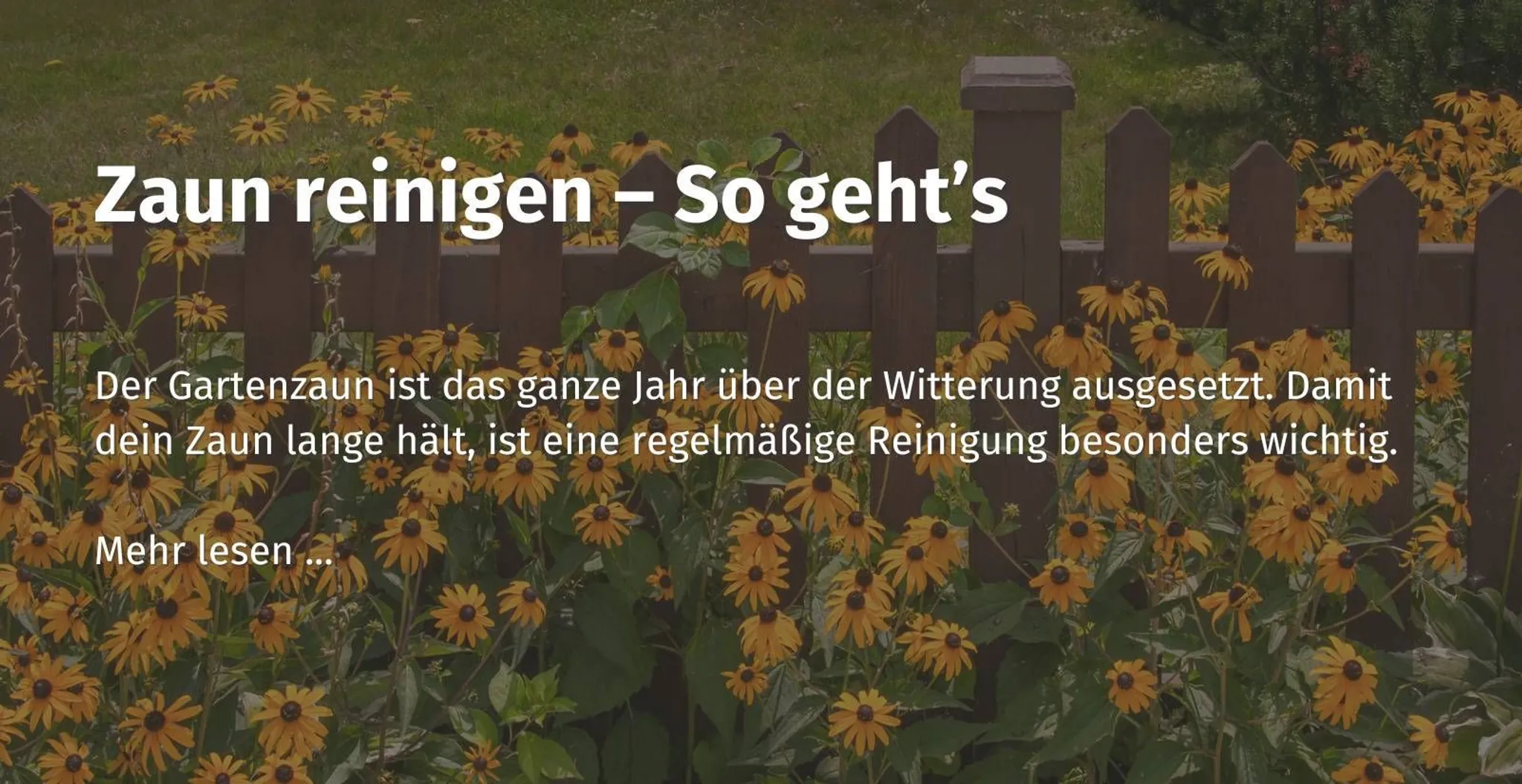 hier-im-casando-community-erfahren-wie-man-einen-zaun-reinigt.jpg
