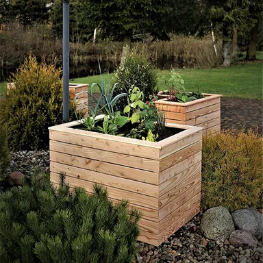 Hochbeet Kategorie Bild