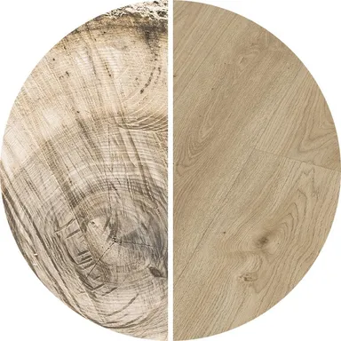 Ein heller Laminatboden mit Holzoptik, welche mit der Optik eines Baums verglichen wird.