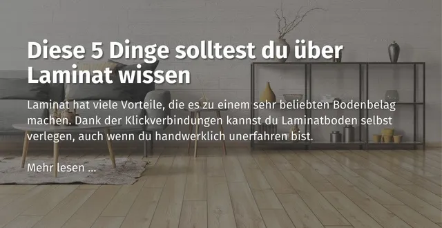 Über dieses Bild kommst du zum Ratgeberbeitrag zum Thema: Diese 5 Dinge solltest du über Laminat wissen.