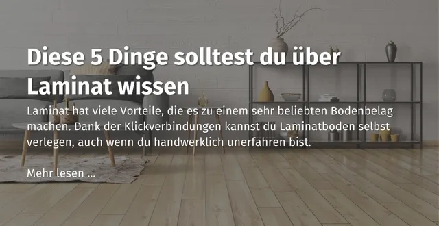 Hier geht es zu unserem Ratgeber Beitrag zum Thema: diese 5 Dinge solltest du über Laminat wissen.