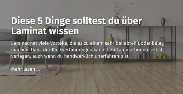 Hier kommst du zum Ratgeberbeitrag zum Thema: Diese 5 Dinge solltest du über Laminat wissen.