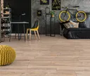 KRONOTEX Laminat Exquisit D2987 Whitewashed Oak Landhausdiele 3
