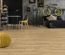 KRONOTEX Laminat Robusto D 4686 Adaja Eiche Landhausdiele 3