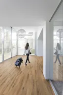 Gerflor Klebe-Vinylboden massiv Virtuo 55 daintree brown 2