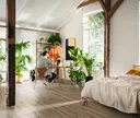 HARO Laminat Daily Edition Eiche Calla puro Landhausdiele 1
