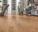 KRONOTEX Laminat Mammut D 4152 Everest Oak Natur Landhausdiele 4
