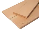 HORI Fassade Glattkantbrett kanadische Douglasie 21x145mm 1