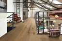 MEISTER Lindura Holzboden HD 400 Eiche authentic greige 8923 gebürstet Landhausdiele 5G Dry® 1