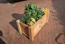 TETZNER & JENTZSCH Blumenkübel Göteborg Lärche 0