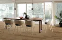 Haro Disano Saphir PVC freier Designboden Eiche Provence natur authentic Landhausdiele 3