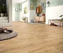 KRONOTEX Laminat Exquisit Plus D3661 Montmelo Eiche Natur Landhausdiele 3