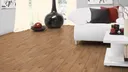 HORI Laminat Profi Exclusiv Eiche Lippe Landhausdiele 2