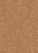 AMORIM WISE Korkparkett Cork inspire 700 HRT Originals Shell Landhausdiele 1