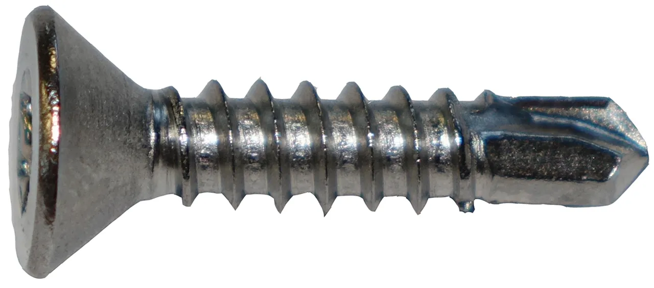 HORI Befestigungsschrauben V2A 4,8 x 22 mm Torx 25 für Terrassenlager (2450056800)