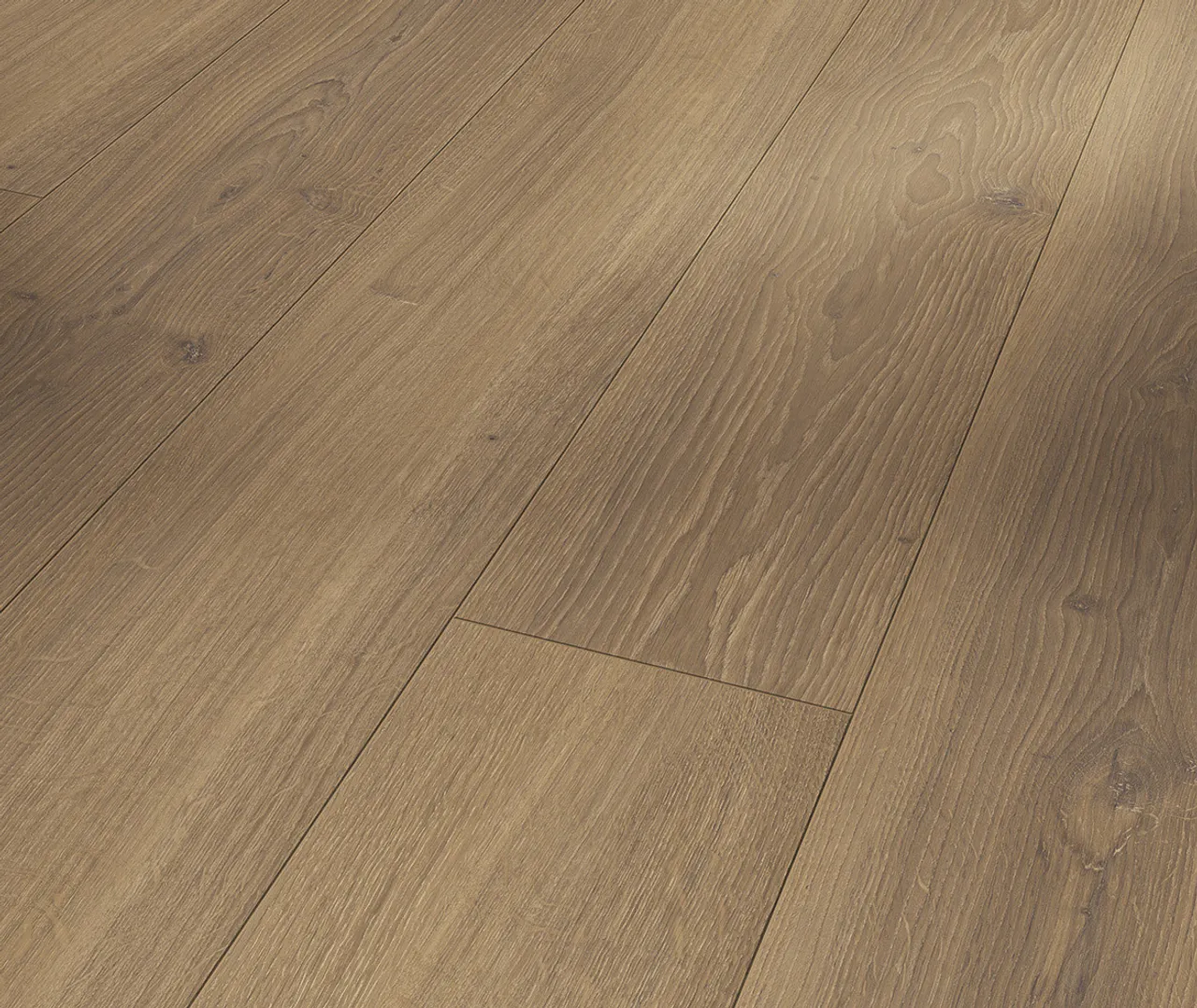 PARADOR Laminat Trendtime 6 Eiche Studioline Honig Naturmattstruktur Landhausdiele (3496714200)