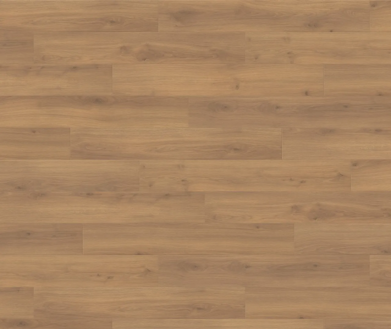 HARO Laminat Tritty 100 Eiche Emilia Honig Landhausdiele (10030020262)