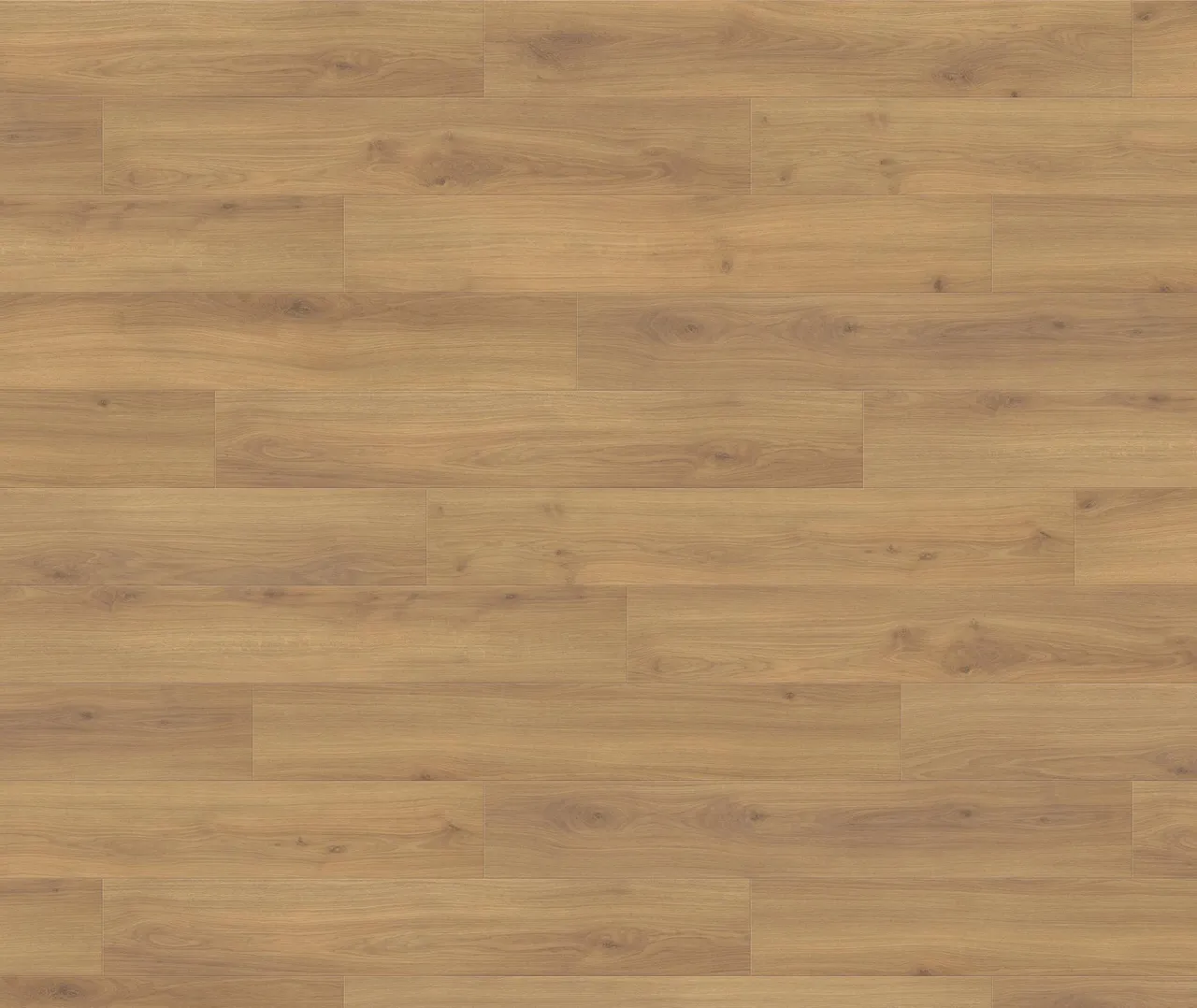 HARO Laminat Tritty 200 Aqua Eiche Emilia Honig Landhausdiele (10030020858)