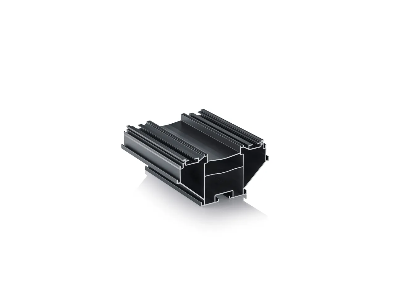 Lignodur terrafina Unterkonstruktion Aluminium Schwarz 80x160mm (10040012283)