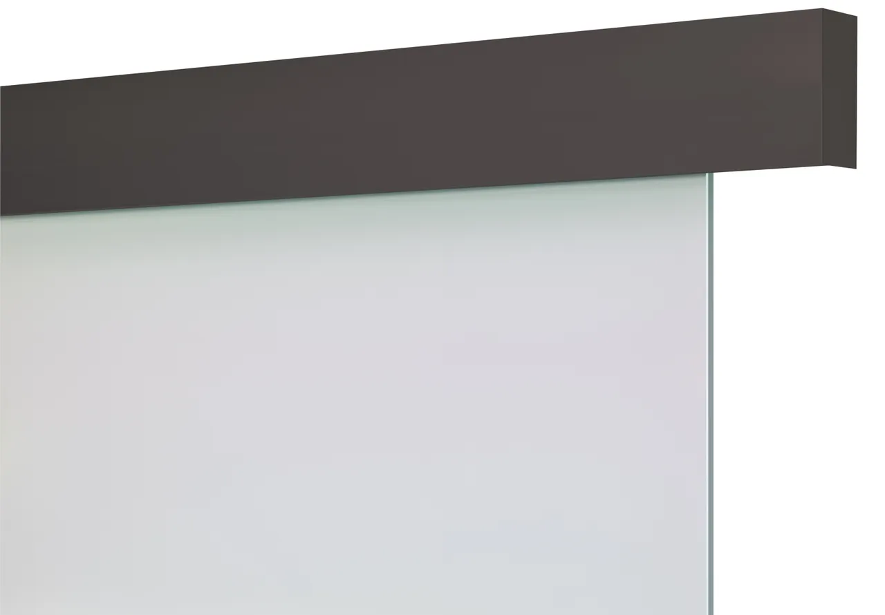 HORI Exclusiv Schiebetürsystem für Glastür matt schwarz (10040325493)