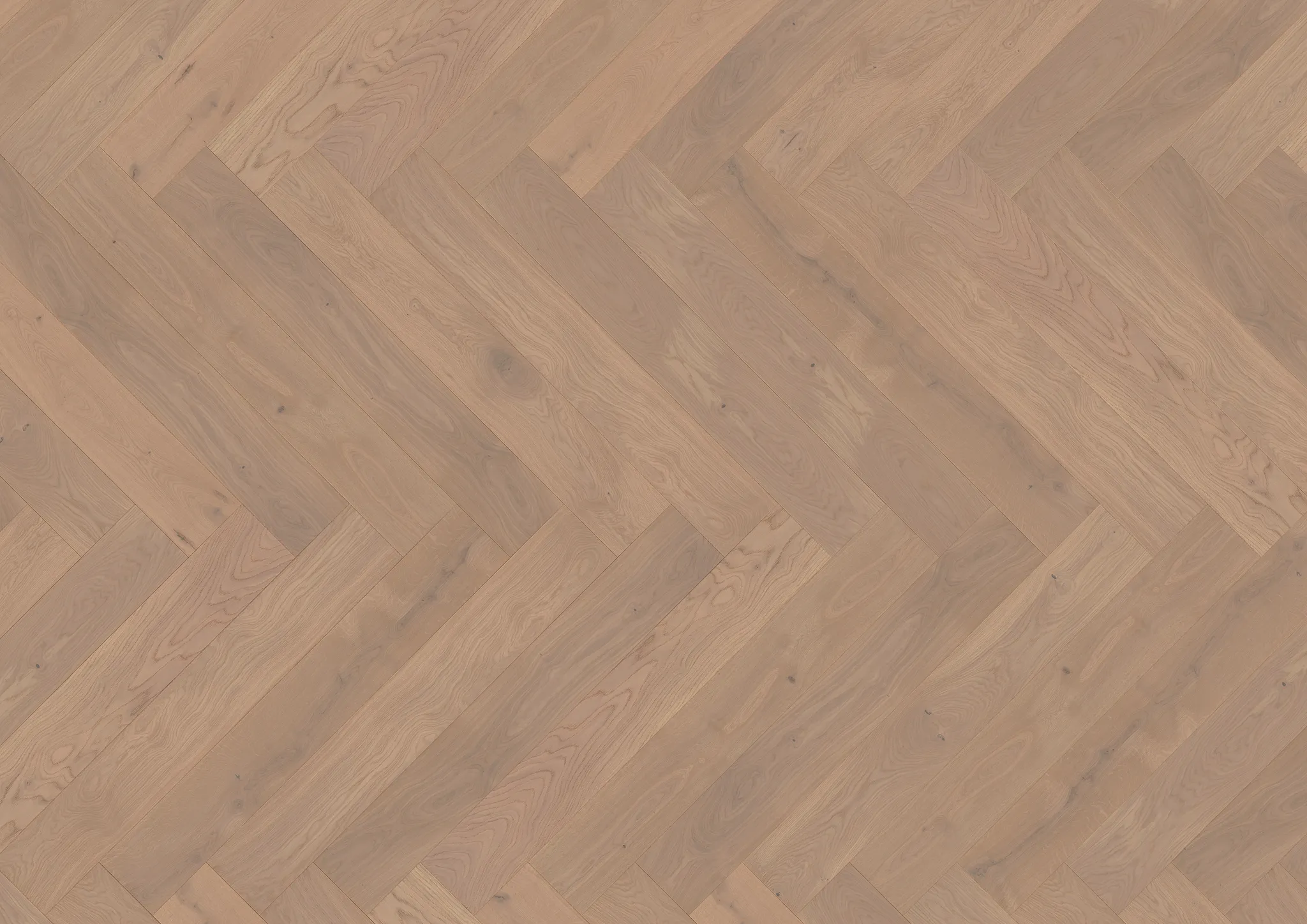 ter Hürne Parkett Herringbone Collection OF 1753 Eiche Amrum Fischgräte 2