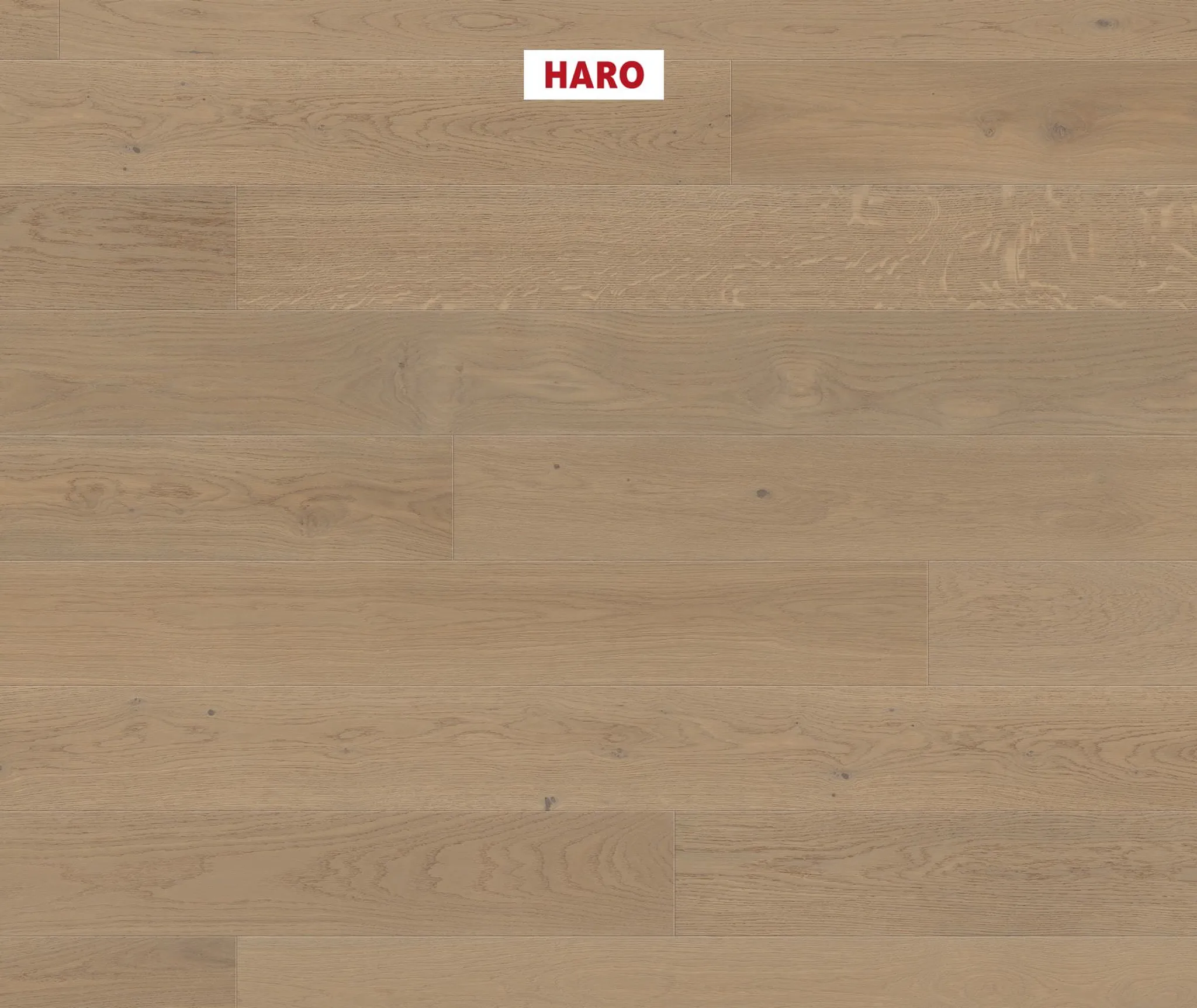 HARO Parkett 4000 Eiche sandgrau strukturiert Markant Landhausdiele 0