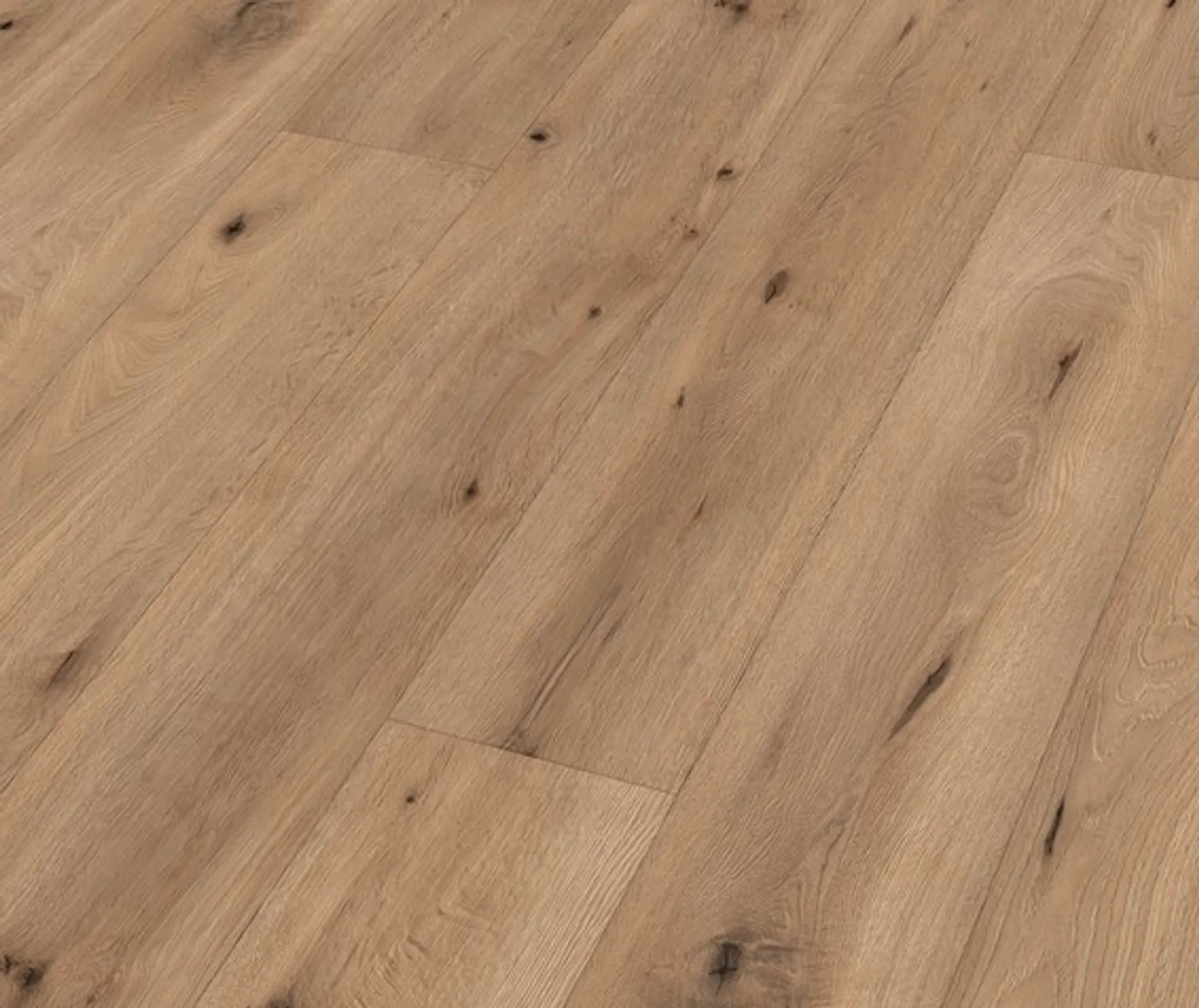 MEISTER Laminat LL 150 Feldeiche hell 06843 Landhausdiele 0