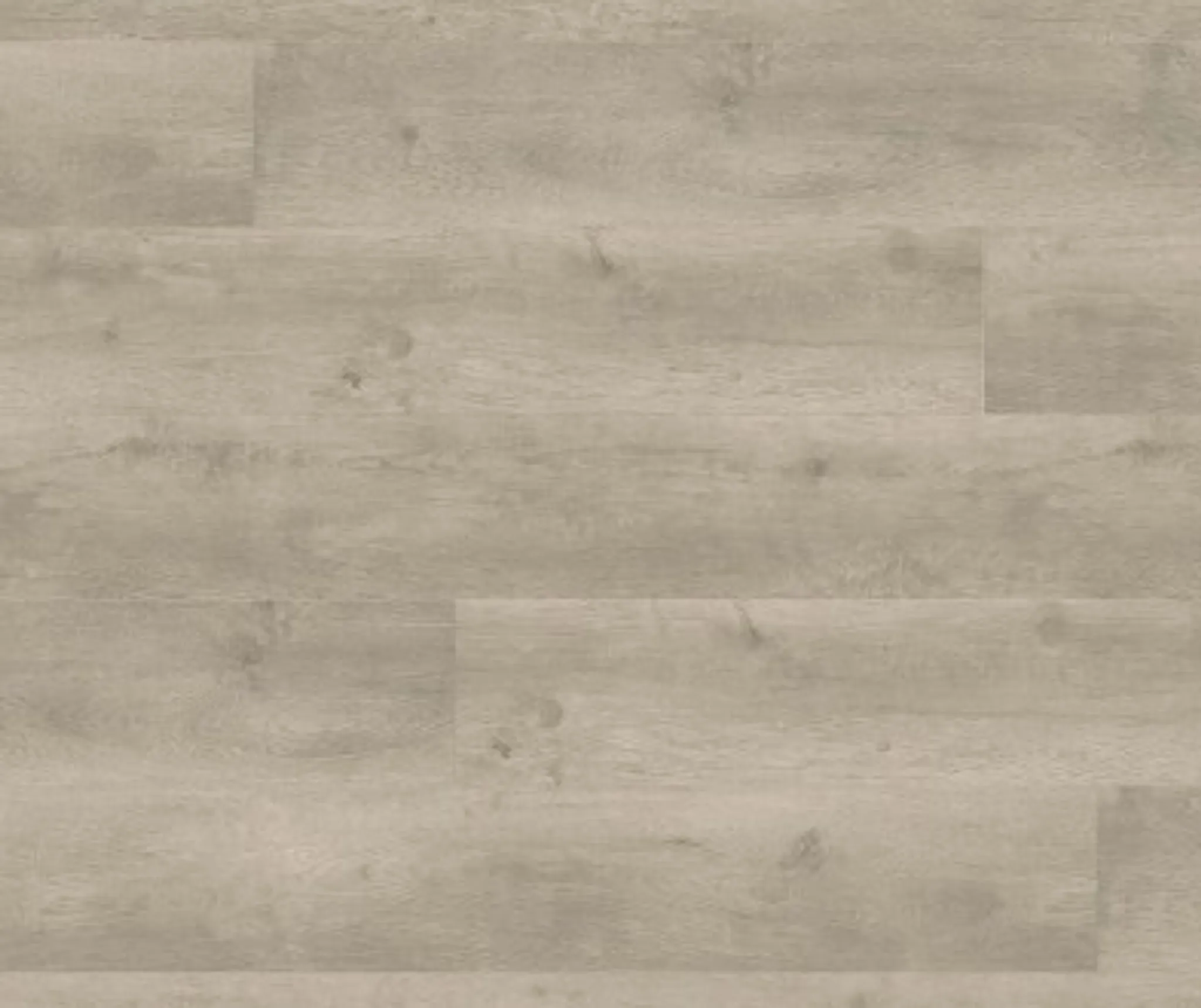 HARO Laminat Tritty 100 Gran Via Eiche Bergamo silbergrau authentic soft 0