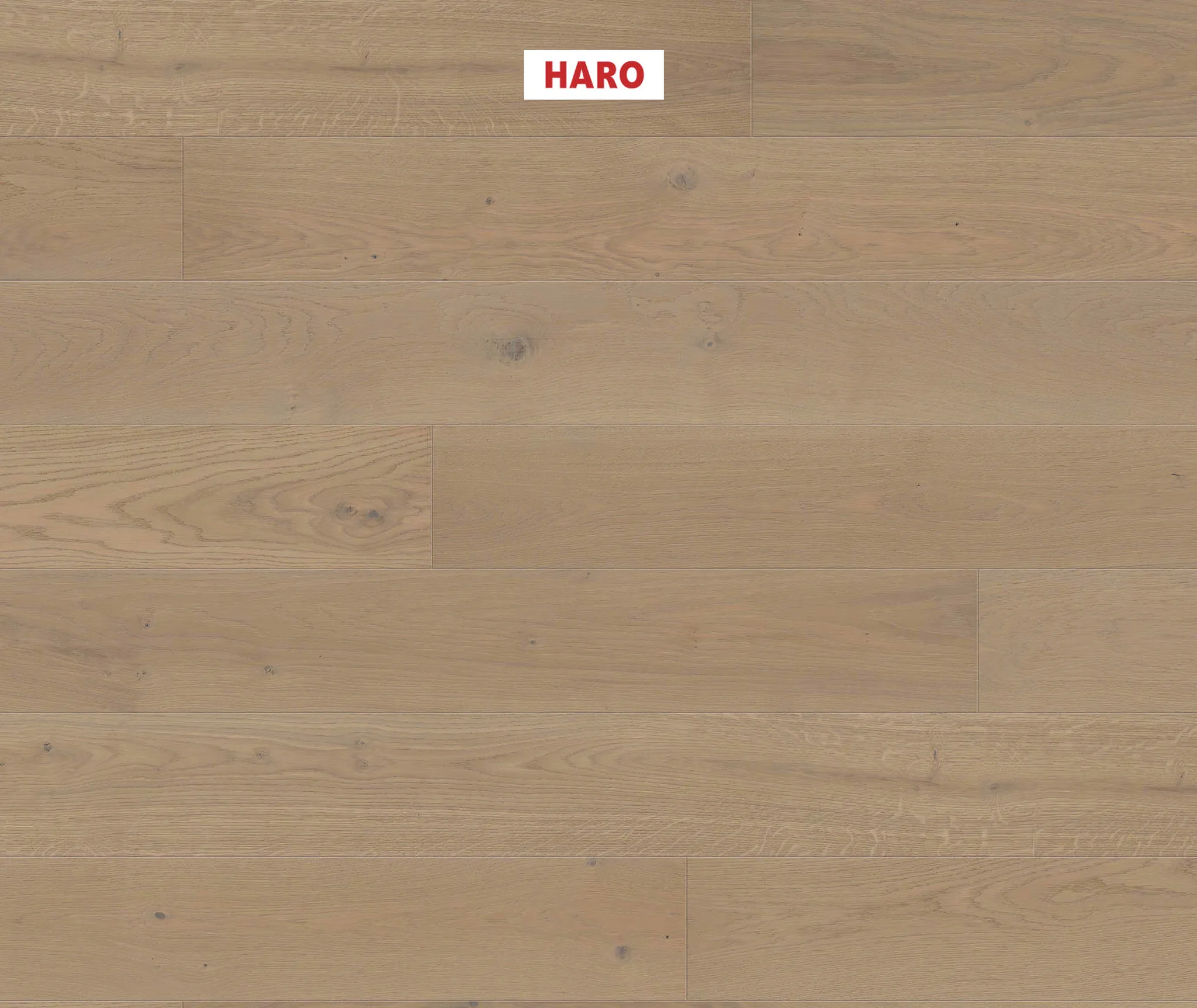 HARO Parkett 4000 Eiche sandgrau strukturiert Sauvage Landhausdiele 0
