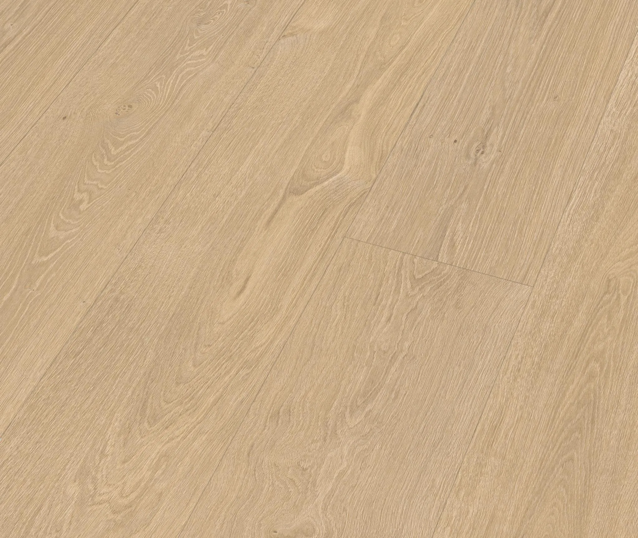 MEISTER Laminat LL 250 Taleiche hell 07144 Landhausdiele 0