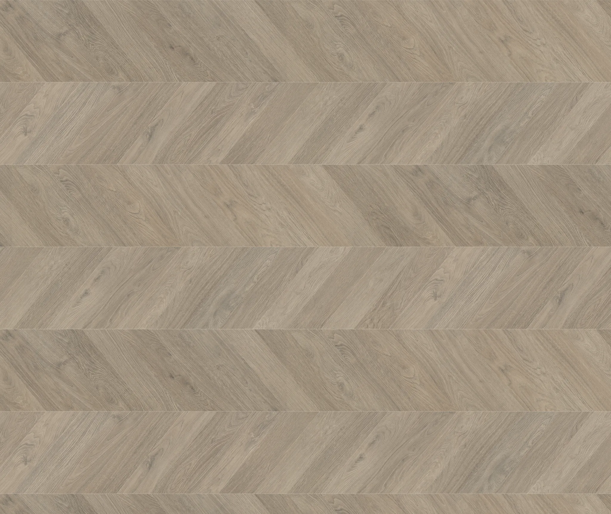 HARO Laminat Tritty 200 Aqua Eiche grau authentic Fischgräte 0