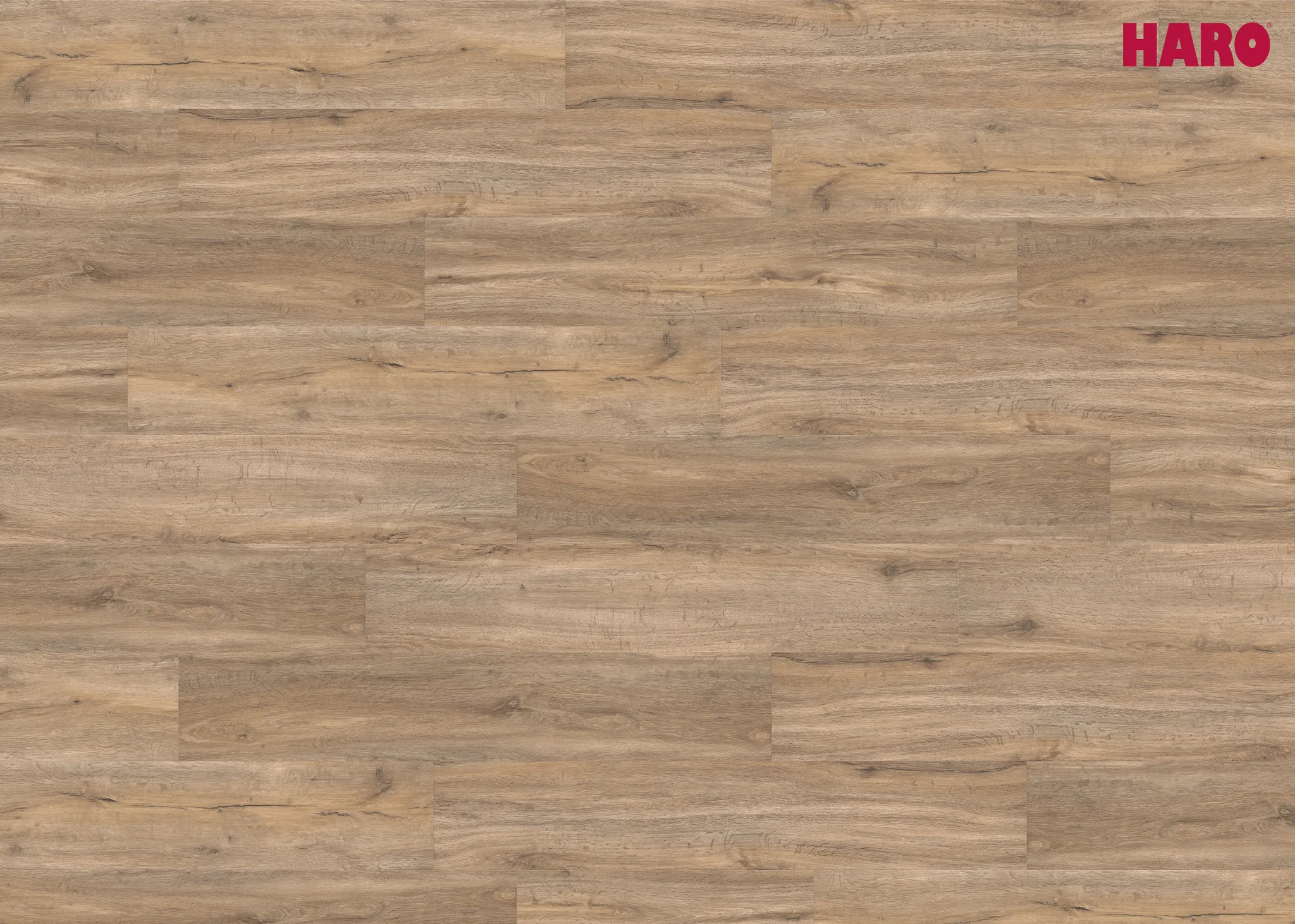 Haro Disano Saphir PVC freier Designboden Steineiche creme strukturiert Landhausdiele 2