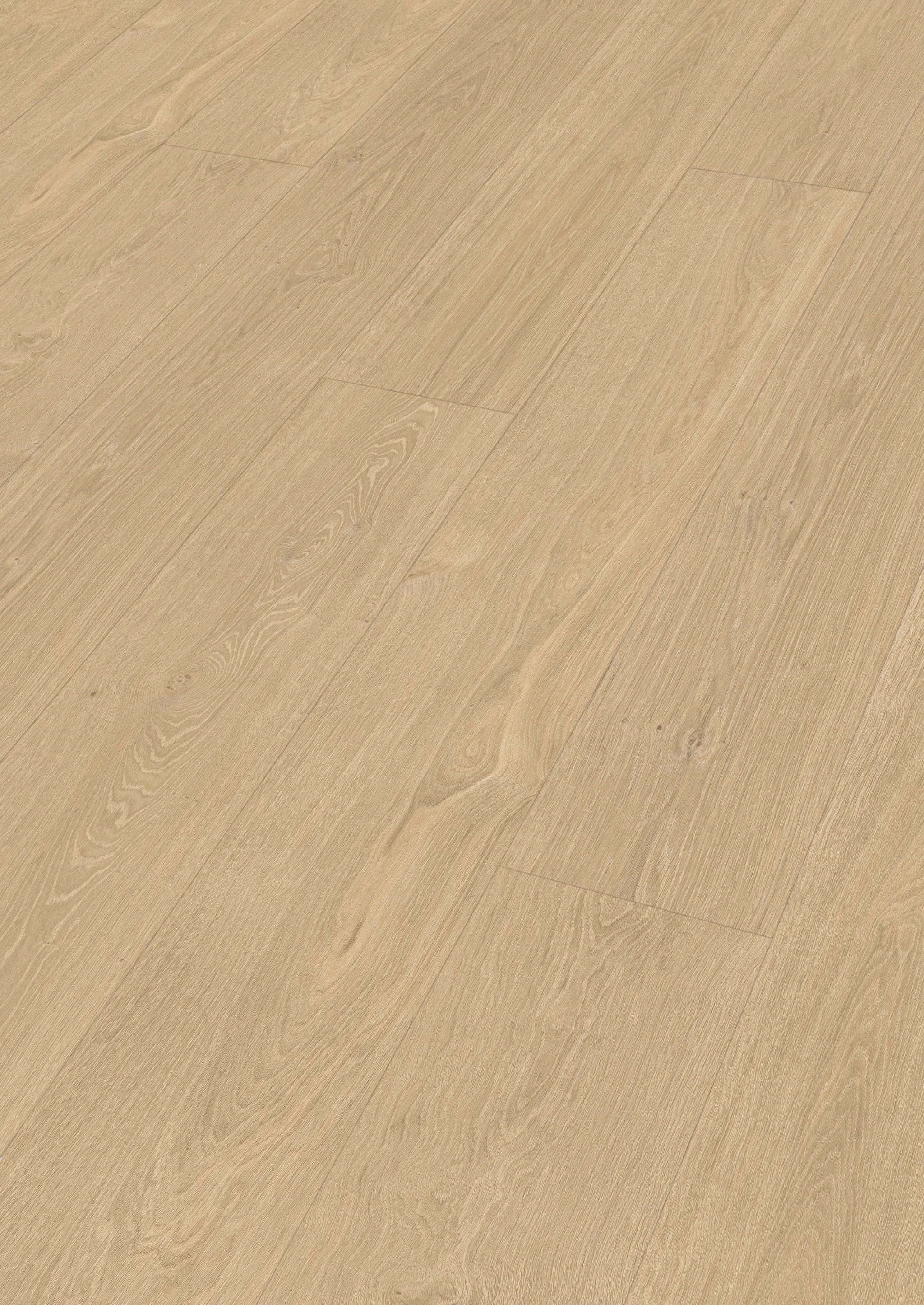 MEISTER Laminat LL 250 Taleiche hell 07144 Landhausdiele 1