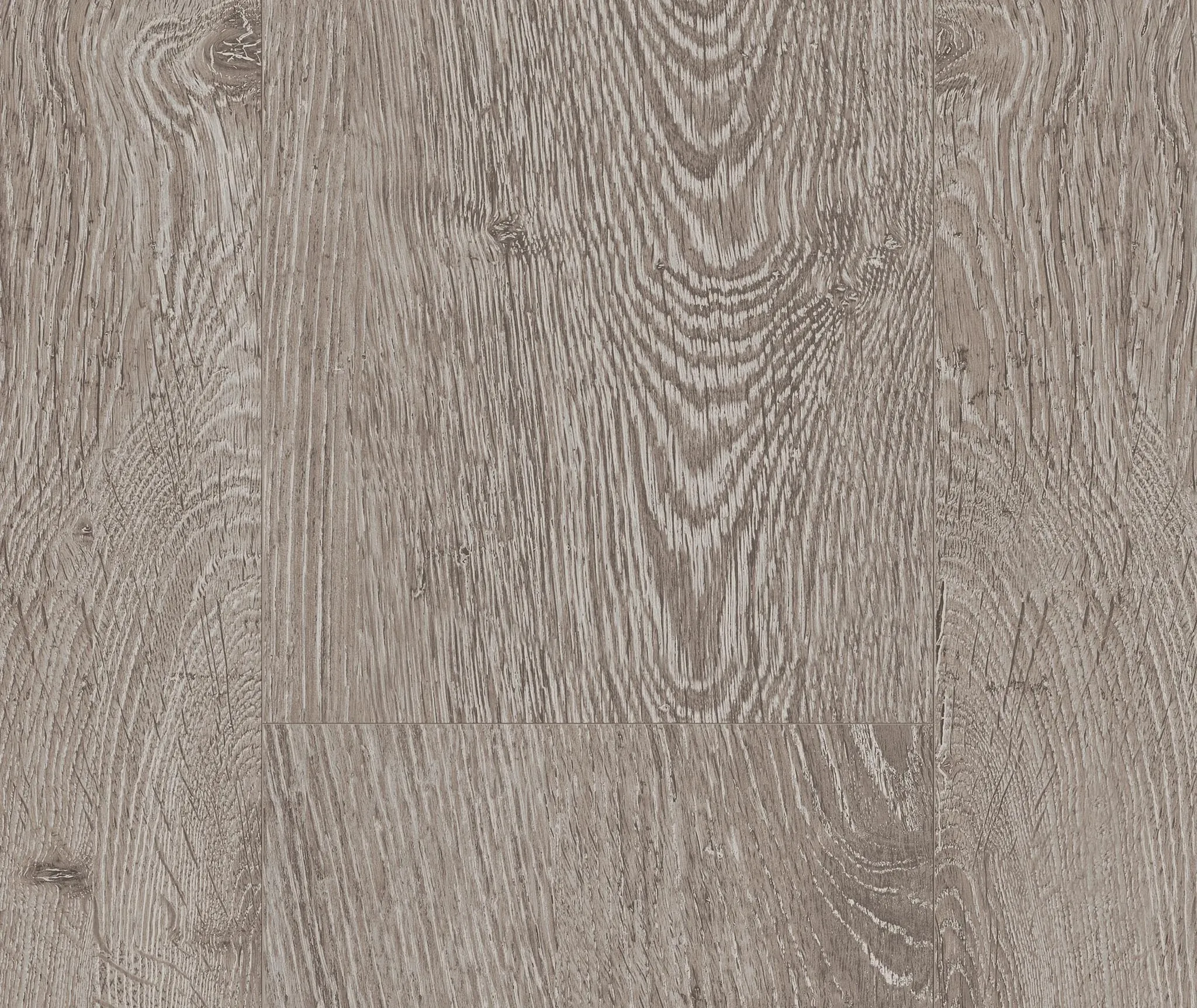 PARADOR Laminat Basic 600 Eiche lichtgrau seidenmatte struktur Landhausdiele 0