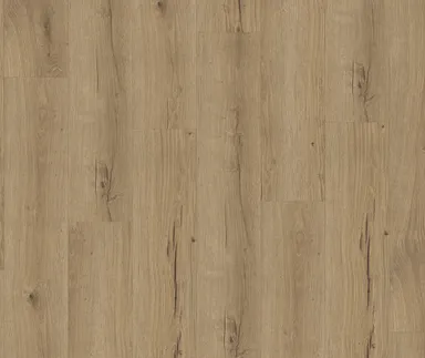 PARADOR Klebe-Vinylboden Classic 2025 Eiche Cambridge natur Gebürstete Struktur Landhausdiele 1