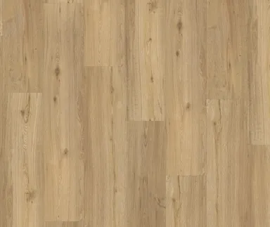 PARADOR Klebe-Vinylboden Classic 2025 Eiche natur Gebürstete Struktur Landhausdiele 1