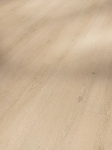 PARADOR Klick-Vinylboden SPC Basic 5.3 Eiche Studioline geschliffen gebürstete Struktur Landhausdiele 6