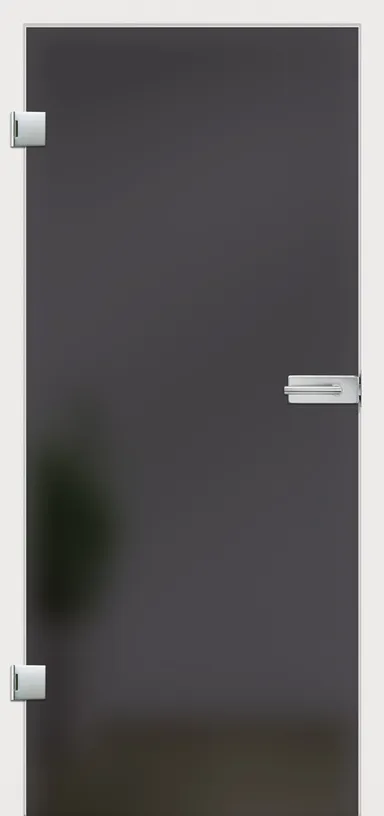 Licht & Harmonie Glastür 8 mm ESG Modell satiniert Lava Grey 0
