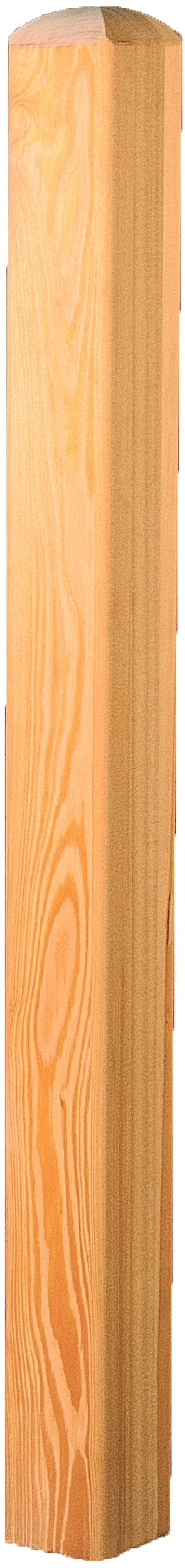 TETZNER & JENTZSCH Sichtschutzzaun Holzpfosten für Leningrad-, Baikal- und Newa-Serie 0