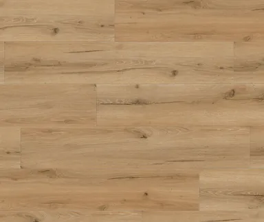 tilo Klebe-Vinylboden ROBUSTO PRO+ Eiche Macadamia Holzoptik softsynchron Landhausdiele TwistPLUS lackiert 4