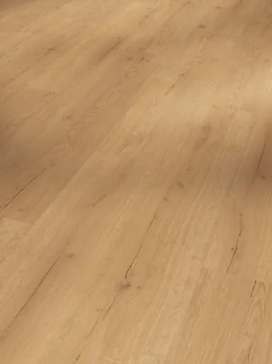 PARADOR Klebe-Vinylboden Basic 2.0 Eiche Infinity Natur Lebhafte struktur Landhausdiele 4