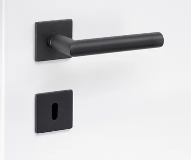 HORI Türgriff L-Form Roma Edelstahl schwarz Flachrosetten 0