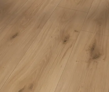 PARADOR Laminat Basic 600 Eiche horizont natur seidenmatte struktur Landhausdiele 0