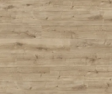 HARO Laminat Daily Edition Eiche Calla puro Landhausdiele 0