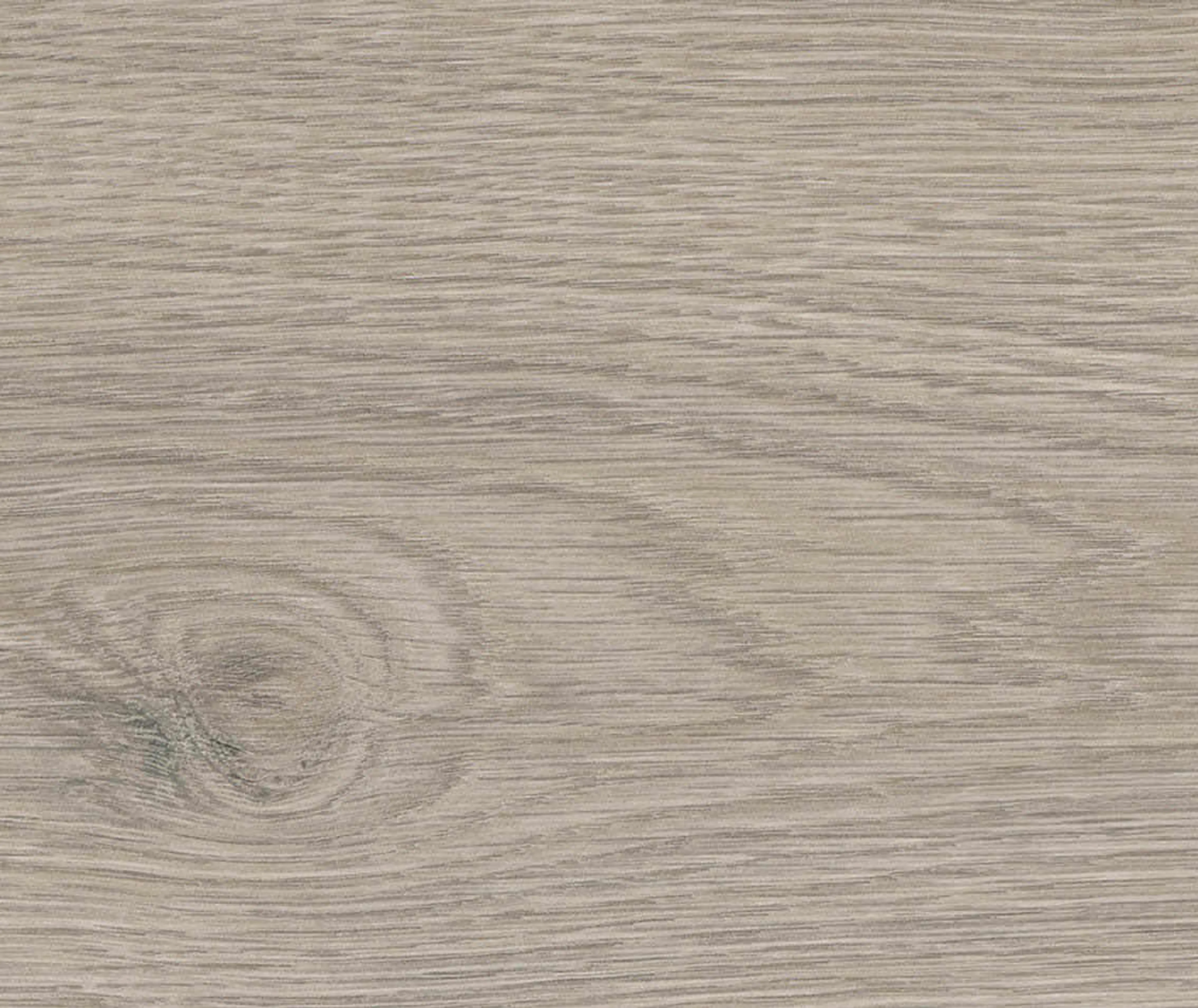 HARO Laminat Tritty 100 Eiche Flavia grau authentic Landhausdiele (10040062438)