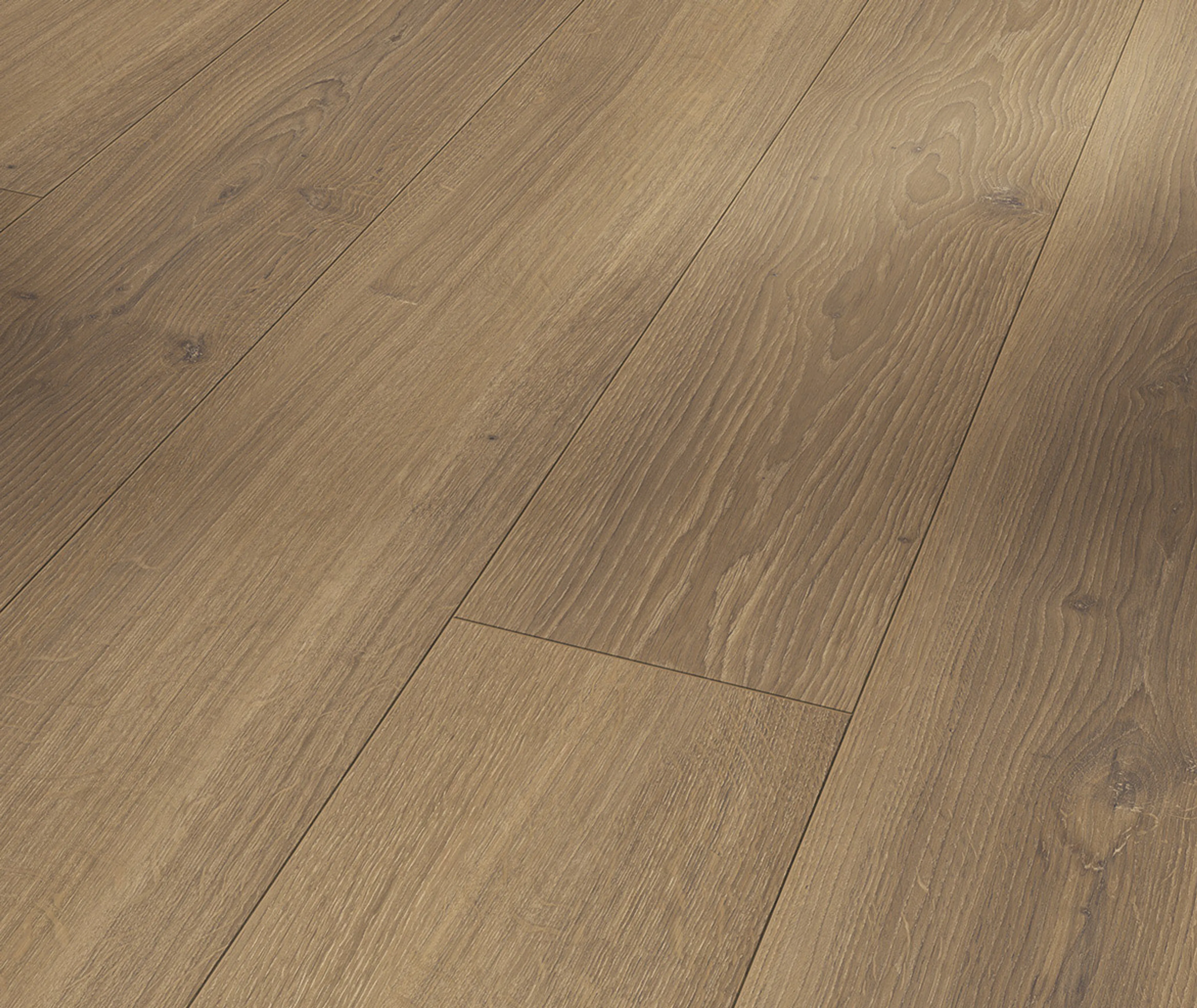 PARADOR Laminat Trendtime 6 Eiche Studioline Honig Naturmattstruktur Landhausdiele (3496714200)