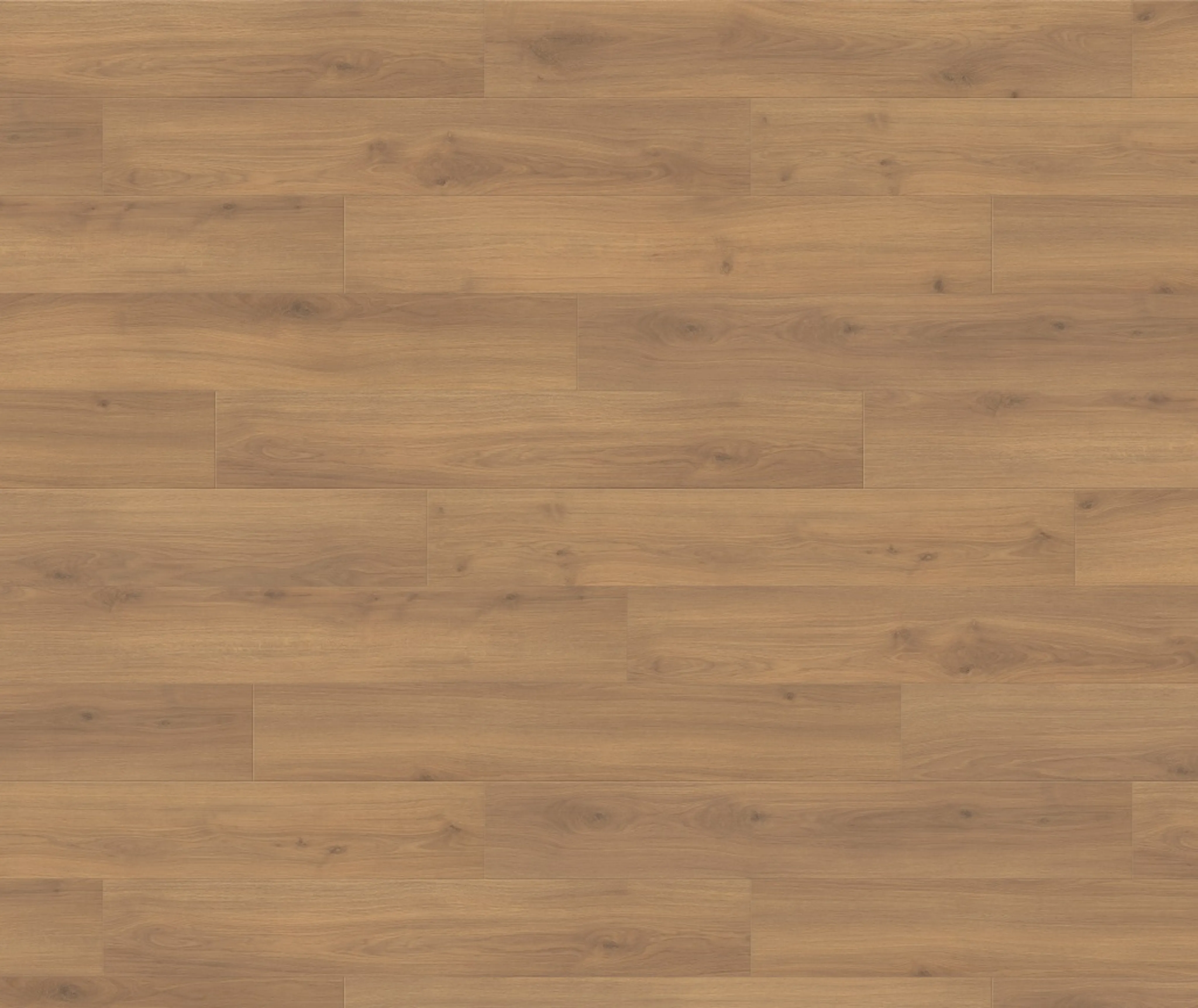 HARO Laminat Tritty 100 Eiche Emilia Honig Landhausdiele (10030020262)