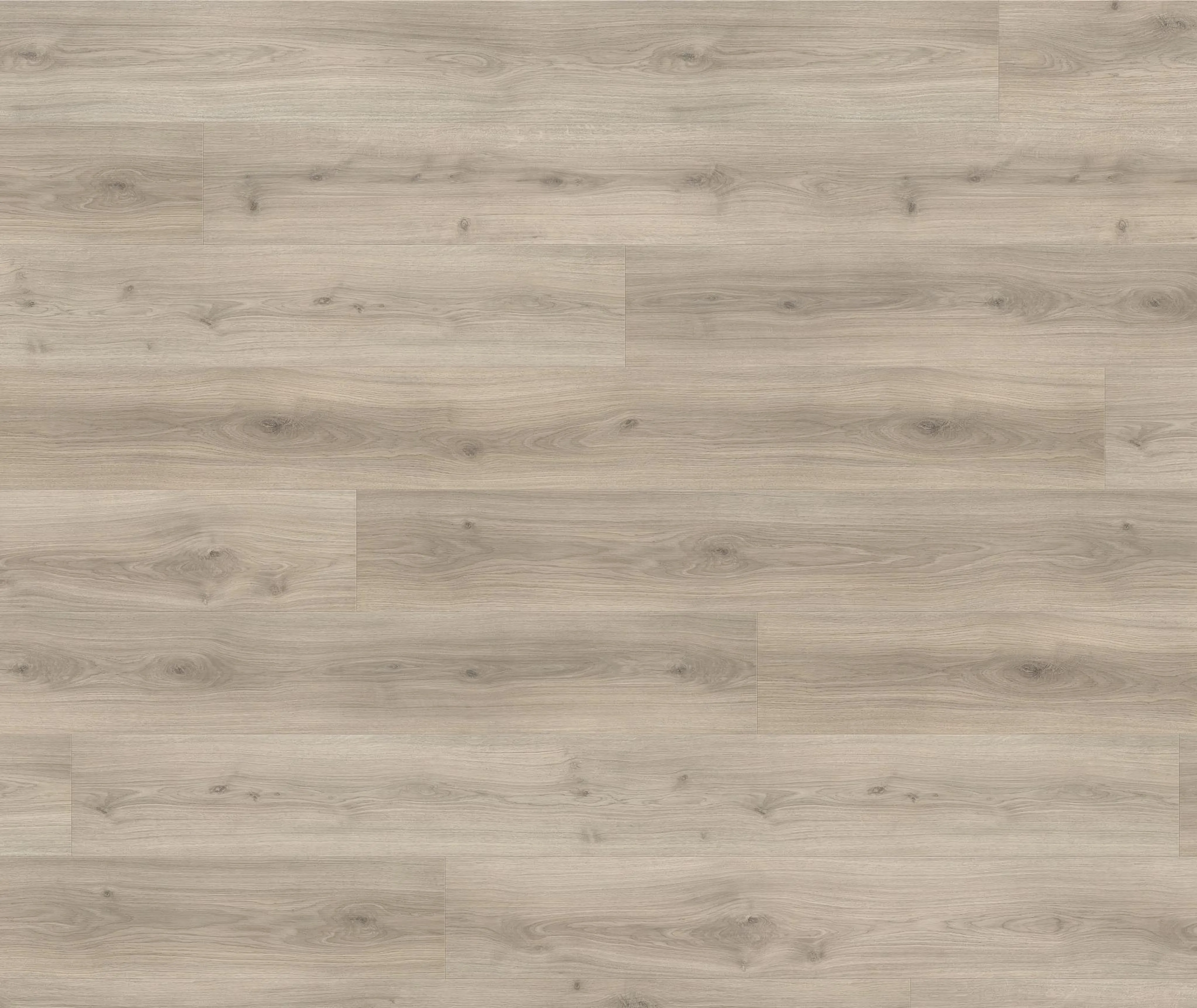 HARO Laminat Tritty 200 Aqua Gran Via Eiche Emilia samtgrau Landhausdiele (10030020868)